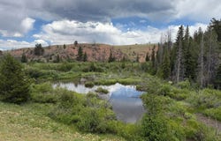 0 Dewclaw Rd, Red Feather Lakes, CO 80545