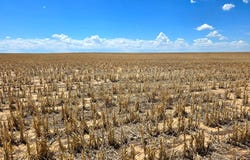 TBD County Road, Anton, CO 80801