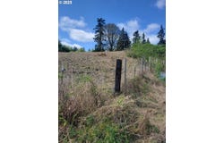Nicolai cutoff rd, Rainier, OR 97048