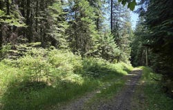 1200 White Pine Flats Rd, Troy, ID 83871