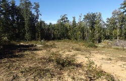 Deer Ridge Rd. lot: 3, Hillsville, VA 24343