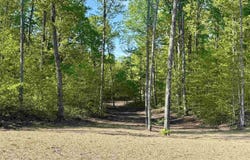 1474 E Solaris Way, Maple City, MI 49664