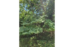 26 N Lakeside Circle, Linn Valley, KS 66040