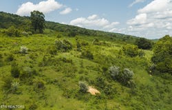 1430 Clinch Valley (55.55 acres) Rd, Sneedville, TN 37869