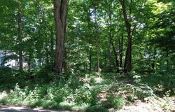 26XX Tuck-a-way, ROCKFORD, IL 61107