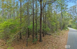 Tom Shivers Road, Flomaton, AL 36441