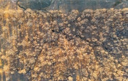 Tract 2 W 211th St S, Bristow, OK 74010
