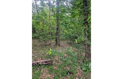 0 Harris Boulevard, Malakoff, TX 75148