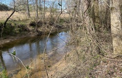 1480 Co Rd 814, Higdon, AL 35979