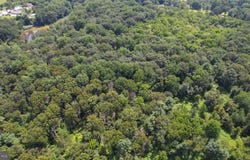 0 BIRCH LANE, PILESGROVE, NJ 08098
