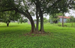 3242 E Fm 696, Lexington, TX 78947