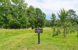 30 Farmstead Lane, Chattahoochee Hills, GA 30268