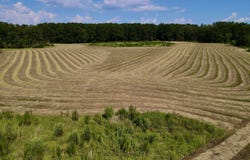 0001 County Road 62, Harpersville, AL 35078