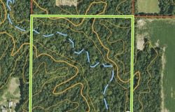 8680 Seavers Road, IUKA, IL 62849