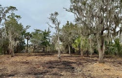 907 E Riverview, St. Marys, GA 31558