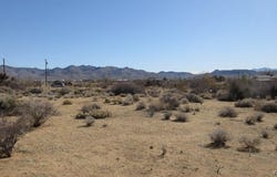 5193 W Burro Drive, Golden Valley, AZ 86413