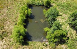 Tract 2 CR 1200, Bogata, TX 75417