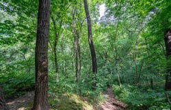 #8 W HARP HOLLOW Road, Peoria, IL 61607