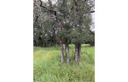 W35093 Lost Nugget, Horseshoe Bay, TX 78657