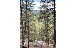 private dr lot: R-56, Chama, NM 87520