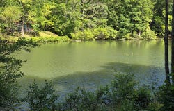 198 Old Dogwood Drive, Murphy, NC 28906