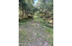 Vine Hollow, Woodville, MS 39669