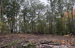 459 Alford Lake Road, Hope, ME 04847