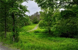 320 Owl Creek Rd, Spencer, NY 14883