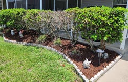 38203 Woodside, Zephyrhills, FL 33542