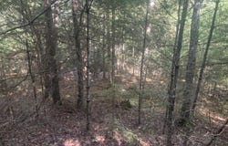 Map5/Lot53 Bangor Road, Troy, ME 04987