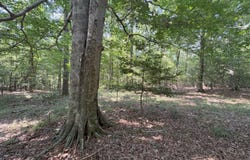 0 AURELLE RD., Strong, AR 71765