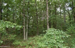 305 Minor Bridge Road, Ashland, MS 38603