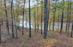 LOT 50 SHORESIDE DRIVE, Double Springs, AL 35553