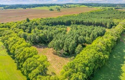 2079 N Highway 11, Niota, TN 37826