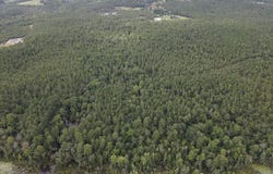 Johnston Highway, Trenton, SC 29847