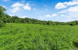 549 Birkhead Road, Winfield, MO 63389