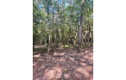 0 Friendship, Frierson, LA 71027