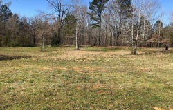 10300 RISING FAWN CIRCLE lot: 10300/10382/1659, WARRIOR, AL 35180