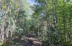Par 4 Clements Road, Kaleva, MI 49645