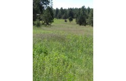 344 Forest Rd 83, Pecos, NM 87552