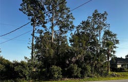 31 PALM LANE, PALM COAST, FL 32164