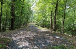T.B.D. Eason Rd., Columbia, LA 71418