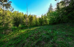 Lot F11 S Idaho Club Dr, Sandpoint, ID 83864