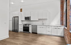 1329 4TH AVENUE, BIRMINGHAM, AL 35233