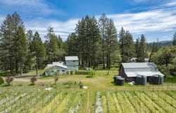 151 Patton Bar Road, Cave Junction, OR 97523