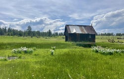 54797 Hwy. 26, Mount Vernon, OR 97865