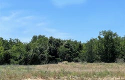 218 Stuart Street, Paradise, TX 76073