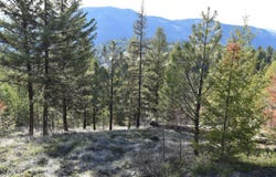 70 EXCELSIOR WAY, CURLEW, WA 99118