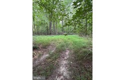 MILA Road, HEATHSVILLE, VA 22473