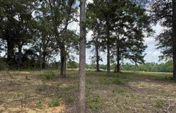3308 Deloach Ln, Milton, FL 32570